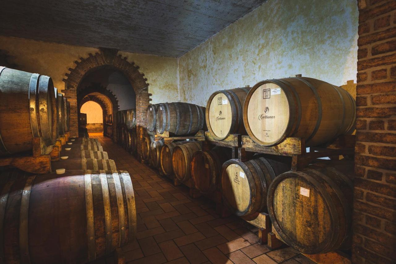 Wine Residence Cattunar Бртонигла Экстерьер фото