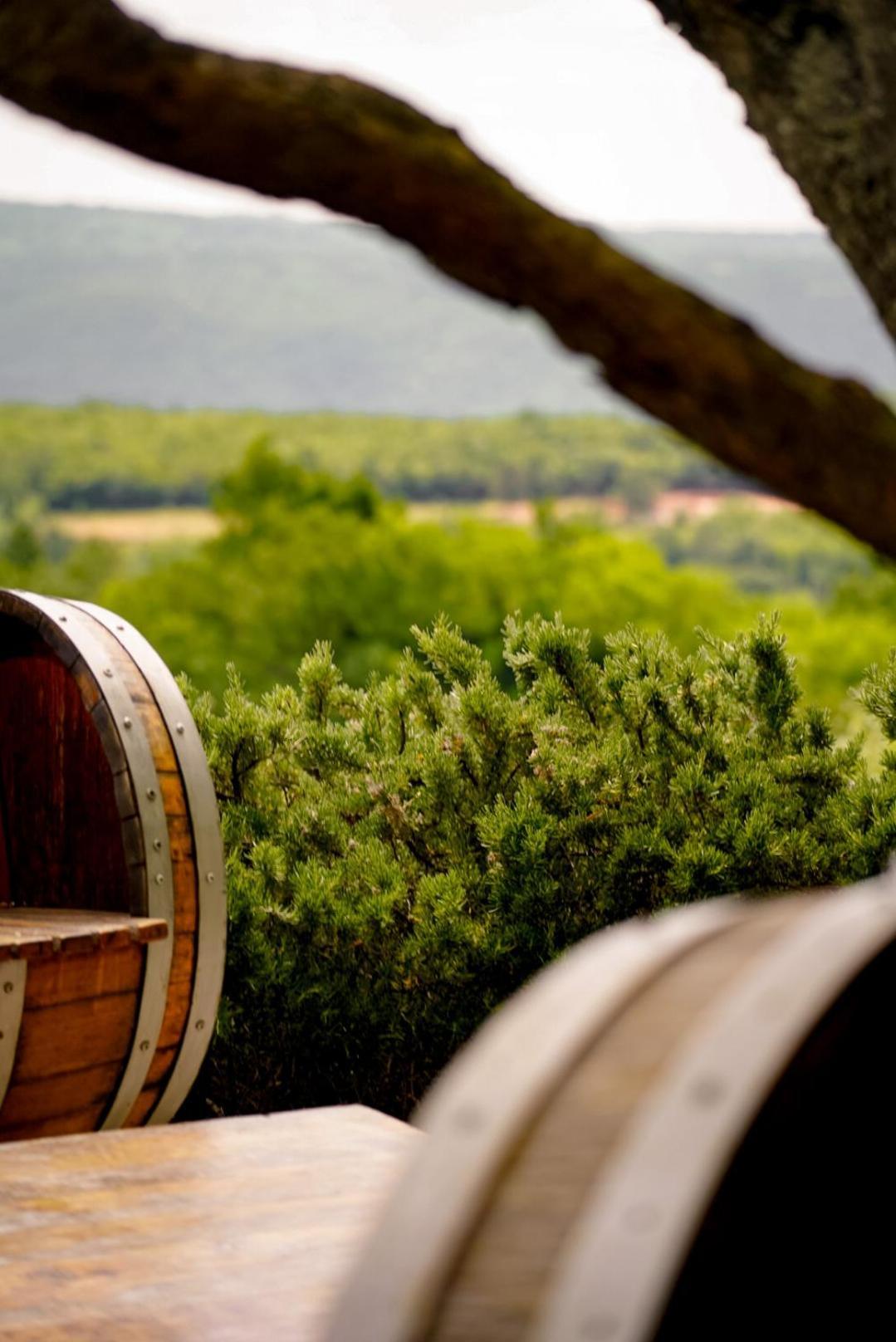Wine Residence Cattunar Бртонигла Экстерьер фото